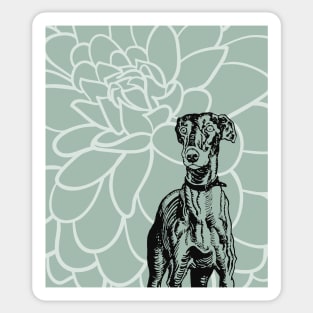 Boho Greyhound and Flower Sticker